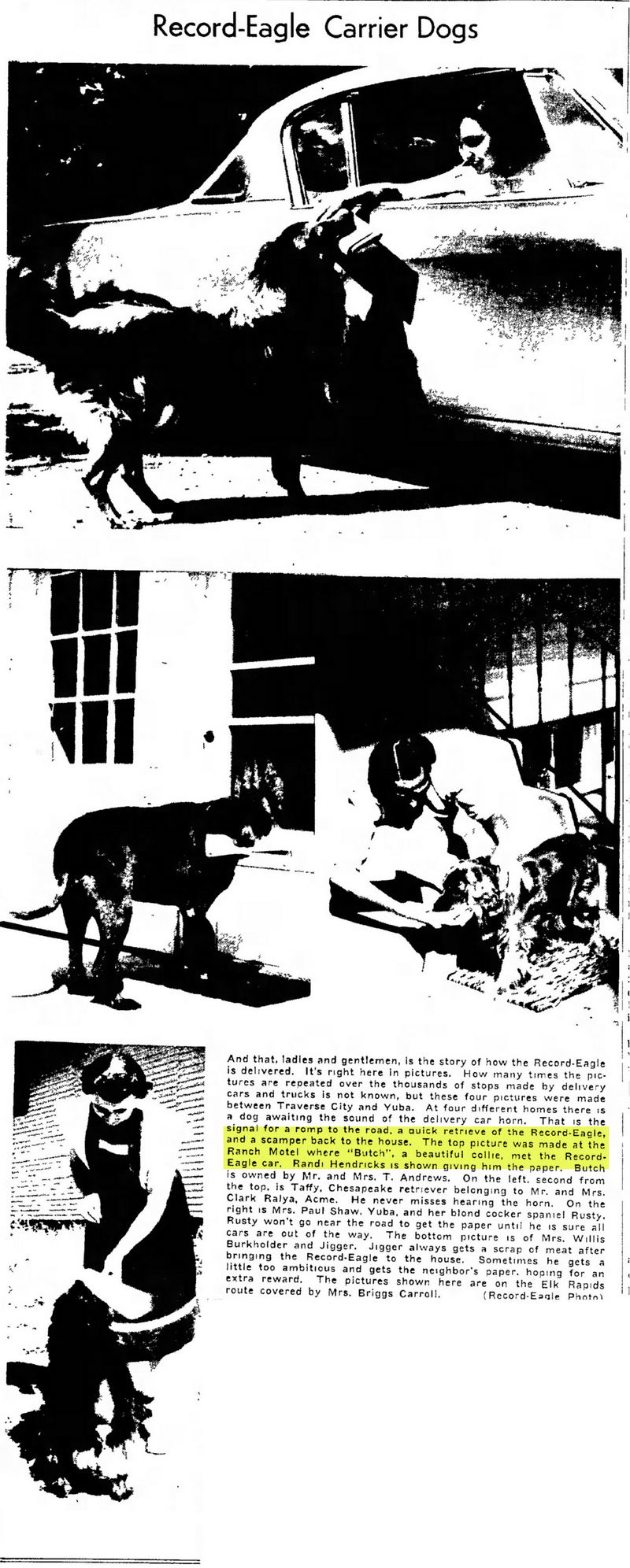 The Ranch Motel - Aug  1954 Article On The Motel And Dog (newer photo)